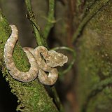 Costa Rica20150405-1433-1072